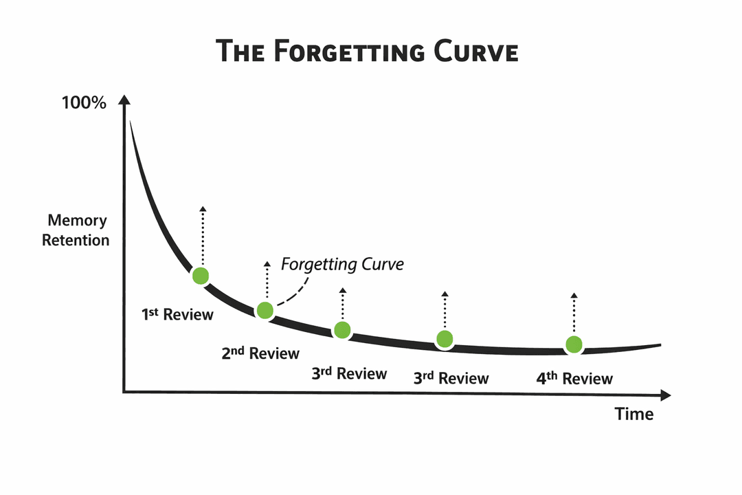 The Ebbinghaus Forgetting Curve shows how we lose memories without proper review intervals